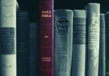 Bible on a shelf with literature